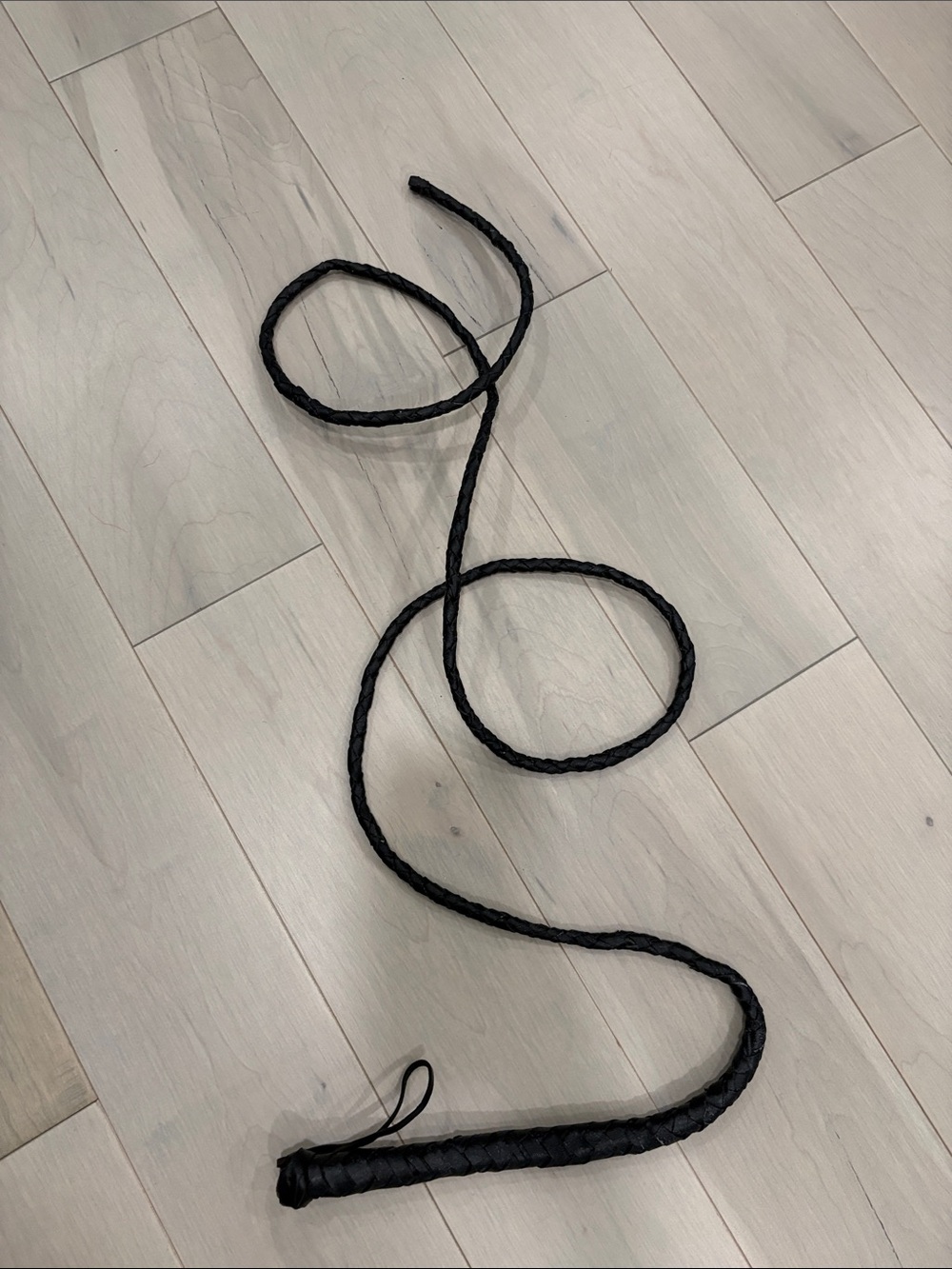 Halloween Black Braided Wip